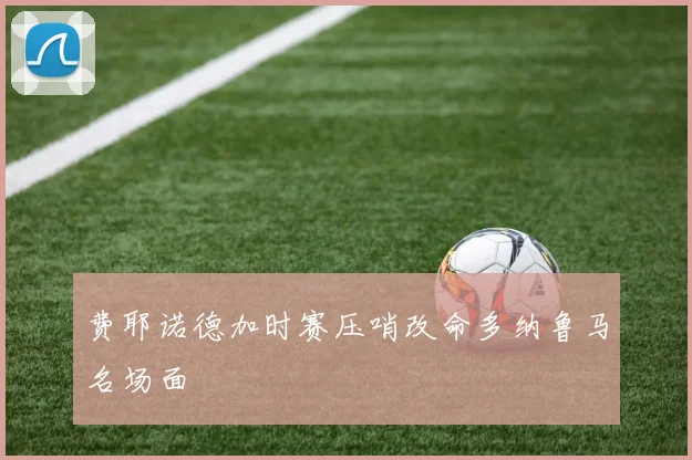 费耶诺德加时赛压哨改命多纳鲁马名场面