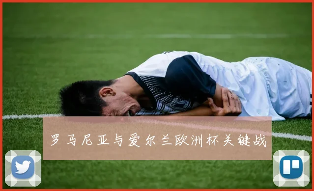 罗马尼亚与爱尔兰欧洲杯关键战