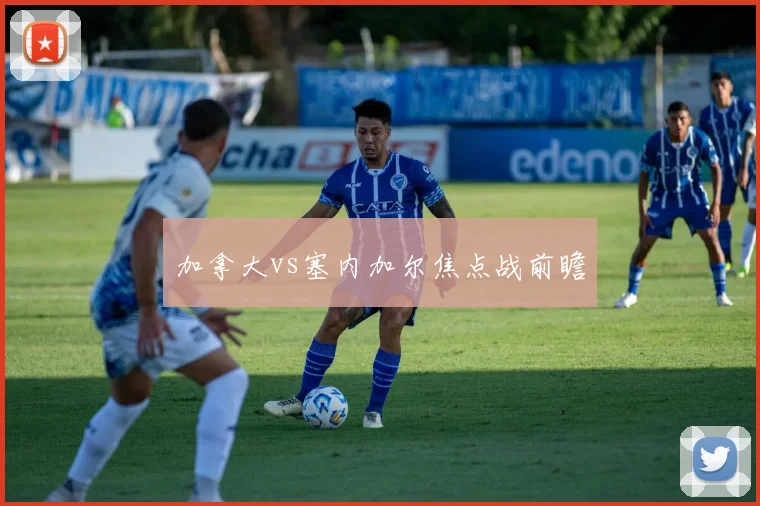 加拿大vs塞内加尔焦点战前瞻