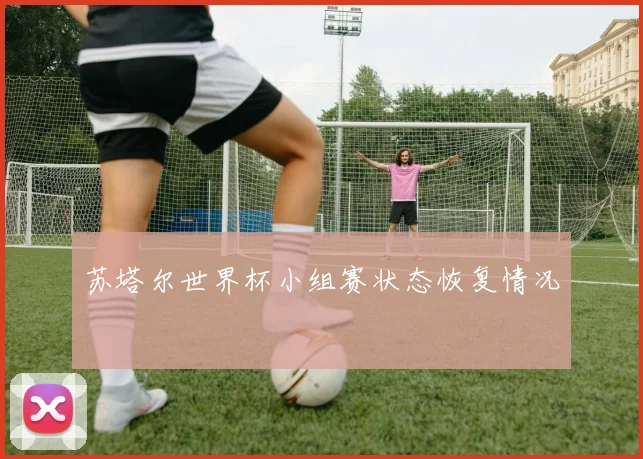 苏塔尔世界杯小组赛状态恢复情况