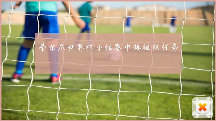 蒂尔尼世界杯小组赛中路组织任务