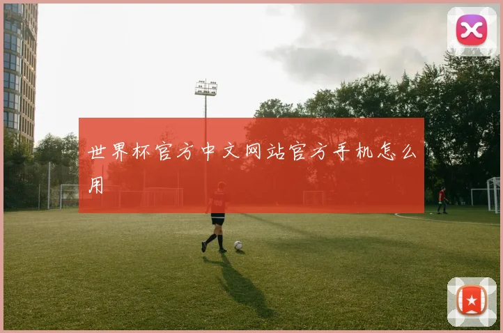 世界杯官方中文网站官方手机怎么用