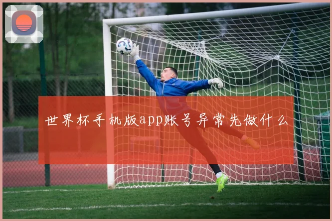 世界杯手机版app账号异常先做什么